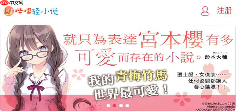 哔哩轻小说怎么开启夜间模式 哔哩轻小说深色模式设置