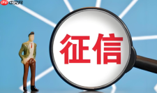 官方个人征信查询入口 征信查询安全登录入口