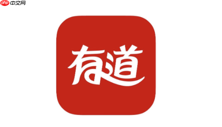 有道在线词典入口 官方网页版查词入口