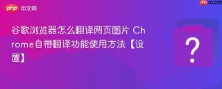 谷歌浏览器怎么翻译网页图片 Chrome自带翻译功能使用方法【设置】