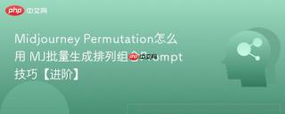 Midjourney Permutation怎么用 MJ批量生成排列组合Prompt技巧【进阶】