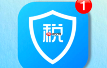 个人所得税查询入口 专项附加扣除申请入口