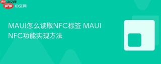 MAUI怎么读取NFC标签 MAUI NFC功能实现方法