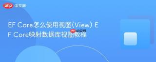 EF Core怎么使用视图(View) EF Core映射数据库视图教程