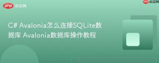 C# Avalonia怎么连接SQLite数据库 Avalonia数据库操作教程