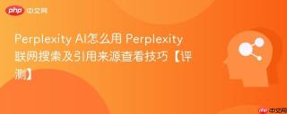 Perplexity AI怎么用 Perplexity联网搜索及引用来源查看技巧【评测】