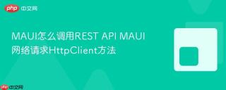 MAUI怎么调用REST API MAUI网络请求HttpClient方法