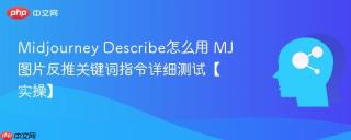 Midjourney Describe怎么用 MJ图片反推关键词指令详细测试【实操】