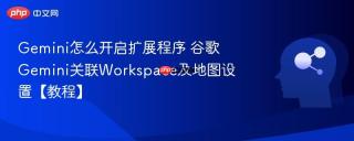 Gemini怎么开启扩展程序 谷歌Gemini关联Workspace及地图设置【教程】
