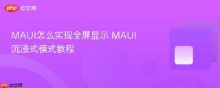 MAUI怎么实现全屏显示 MAUI沉浸式模式教程