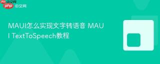 MAUI怎么实现文字转语音 MAUI TextToSpeech教程