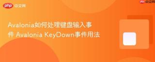 Avalonia如何处理键盘输入事件 Avalonia KeyDown事件用法