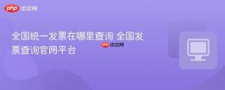 全国统一发票在哪里查询 全国发票查询官网平台