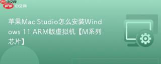 苹果Mac Studio怎么安装Windows 11 ARM版虚拟机【M系列芯片】