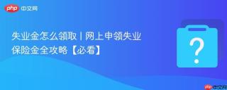 失业金怎么领取 | 网上申领失业保险金全攻略【必看】