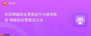 全国增值税发票查验平台使用教程 增值税发票查询方法