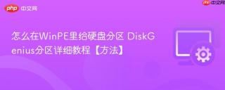怎么在WinPE里给硬盘分区 DiskGenius分区详细教程【方法】