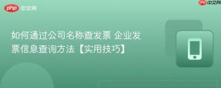 如何通过公司名称查发票 企业发票信息查询方法【实用技巧】