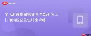 个人所得税完税证明怎么开 网上打印纳税记录证明全攻略