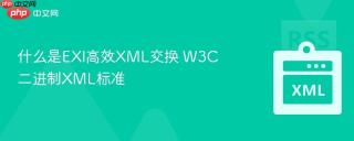 什么是EXI高效XML交换 W3C二进制XML标准