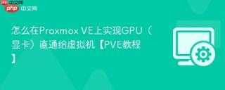 怎么在Proxmox VE上实现GPU（显卡）直通给虚拟机【PVE教程】