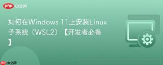如何在Windows 11上安装Linux子系统（WSL2）【开发者必备】