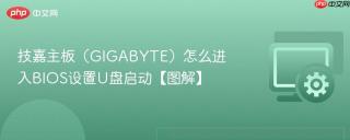 技嘉主板(gigabyte)怎么进入bios设置u盘启动【图解】