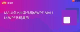 MAUI怎么共享代码给WPF MAUI与WPF代码复用
