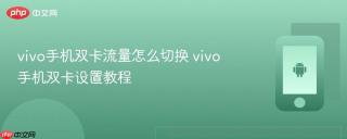 vivo手机双卡流量怎么切换 vivo手机双卡设置教程