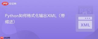 Python如何格式化输出XML（带缩进）