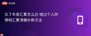 忘了年度汇算怎么办 错过个人所得税汇算清缴补救方法