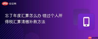 忘了年度汇算怎么办 错过个人所得税汇算清缴补救方法