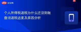 个人所得税退税为什么还没到账 查询退税进度及原因分析