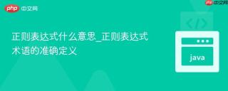 正则表达式什么意思_正则表达式术语的准确定义