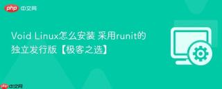 Void Linux怎么安装 采用runit的独立发行版【极客之选】