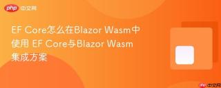 EF Core怎么在Blazor Wasm中使用 EF Core与Blazor Wasm集成方案