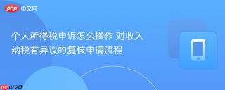 个人所得税申诉怎么操作 对收入纳税有异议的复核申请流程