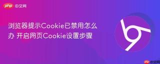 浏览器提示Cookie已禁用怎么办 开启网页Cookie设置步骤