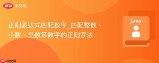 正则表达式匹配数字_匹配整数、小数、负数等数字的正则写法