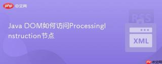 Java DOM如何访问ProcessingInstruction节点