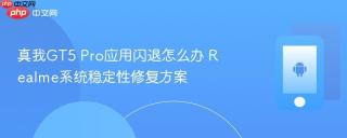 真我GT5 Pro应用闪退怎么办 Realme系统稳定性修复方案