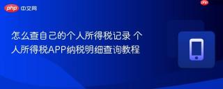 怎么查自己的个人所得税记录 个人所得税APP纳税明细查询教程