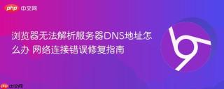 浏览器无法解析服务器DNS地址怎么办 网络连接错误修复指南