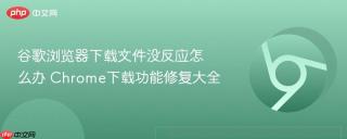 谷歌浏览器下载文件没反应怎么办 Chrome下载功能修复大全