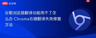 谷歌浏览器翻译功能用不了怎么办 Chrome右键翻译失效修复方法