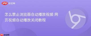 怎么禁止浏览器自动播放视频 网页视频自动播放关闭教程