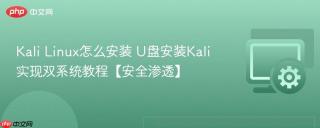 Kali Linux怎么安装 U盘安装Kali实现双系统教程【安全渗透】