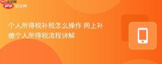 个人所得税补税怎么操作 网上补缴个人所得税流程详解