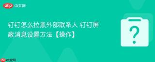 钉钉怎么拉黑外部联系人 钉钉屏蔽消息设置方法【操作】
