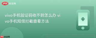 vivo手机验证码收不到怎么办 vivo手机短信拦截查看方法